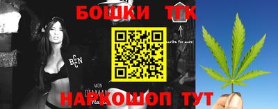 шишки Абакан