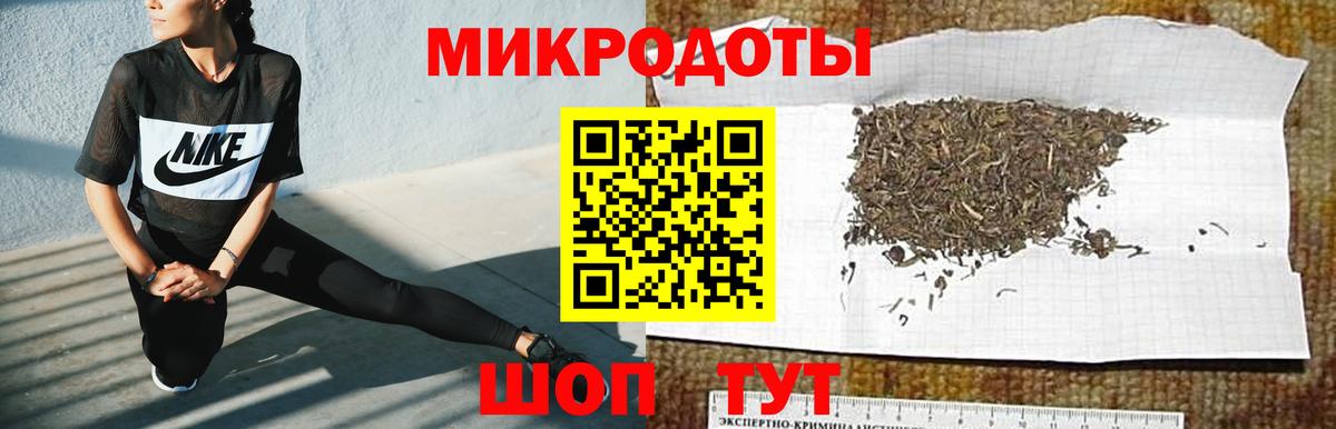 Псилоцибиновые грибы Psilocybe Буйнакск