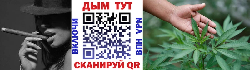 Бошки Шишки гибрид Буйнакск